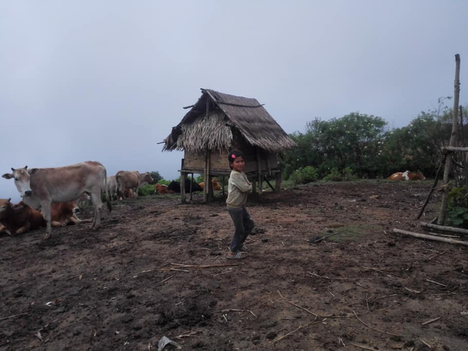 4 Days Cloud Forest Climb and Phou Louey Mountain Trek